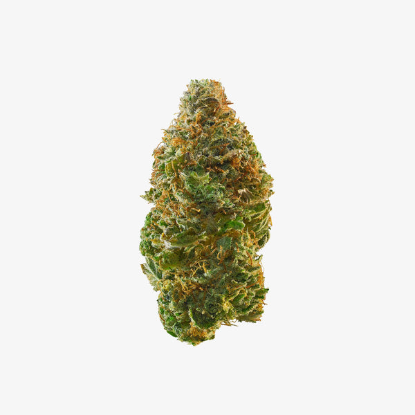 haze exotics thc-a flower petrol potion 3.5 gram jar detial