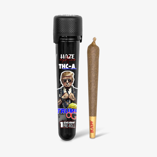 haze exotics thca flower trump og 1 gram preroll