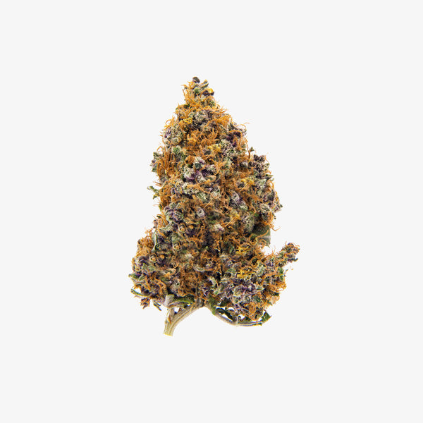 Dried cannabis bud on a white background