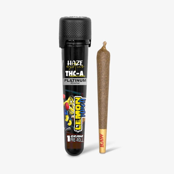 haze exotics platinum edition thc-a flower lemon punch 1 gram preroll