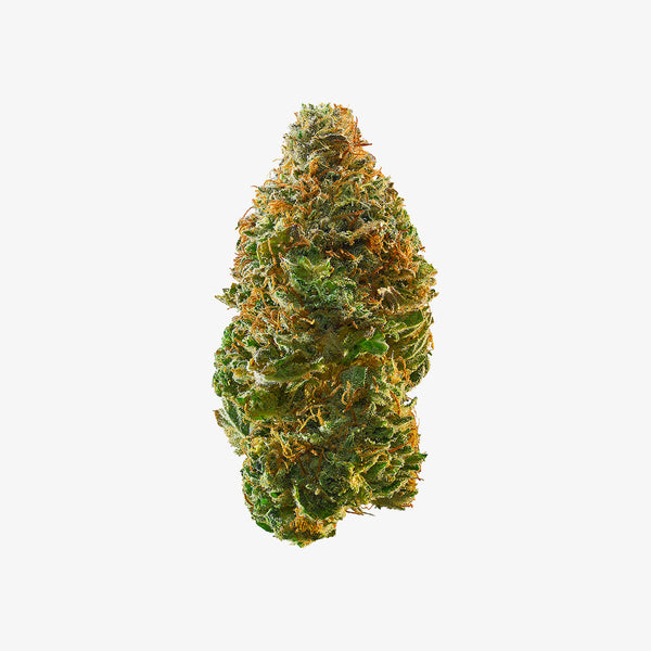 THC-A FLOWER  / BLUE CANDY ZOUR/ HAZE EXOTICS PLATINUM RESERVE