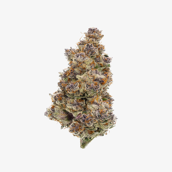 Close-up of a cannabis bud on a white background