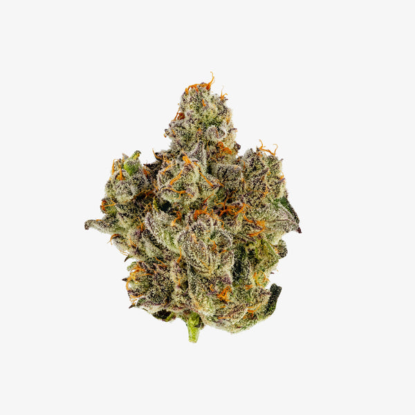 THC-A FLOWER  / MORNING COFFEE / HAZE EXOTICS PLATINUM RESERVE