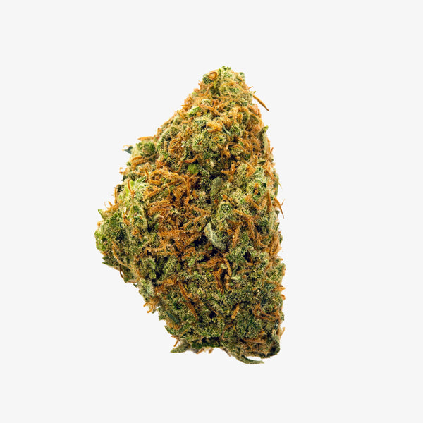 Close-up of a cannabis bud with orange trichomes on a white background