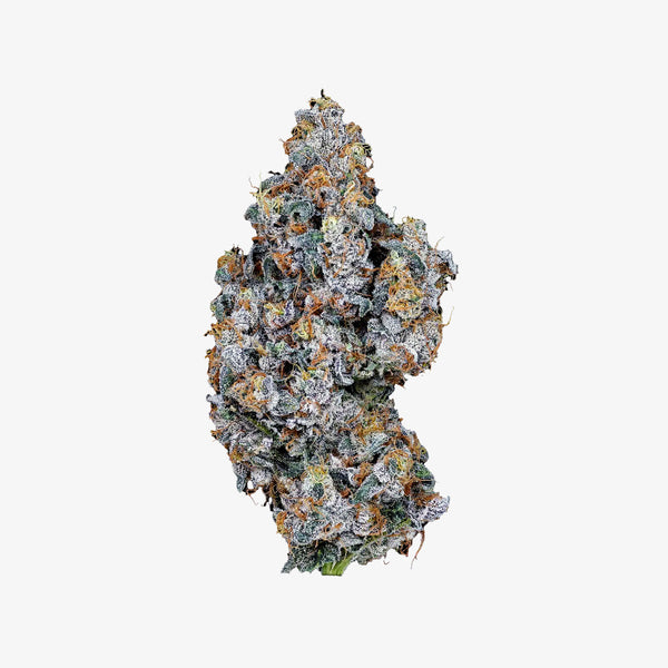 Large cannabis bud on a white background