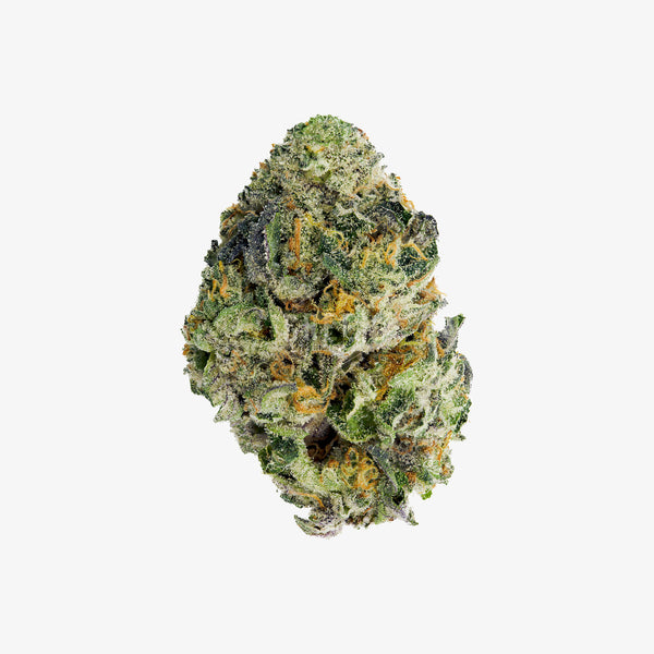 Close-up of a cannabis bud on a white background