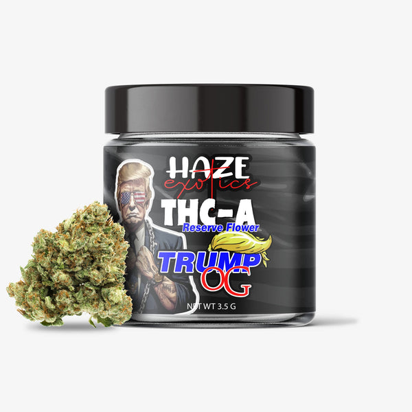 haze exotics thca flower trump og 3.5g jar